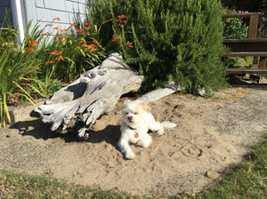 Meet your Posher, Brady bannister